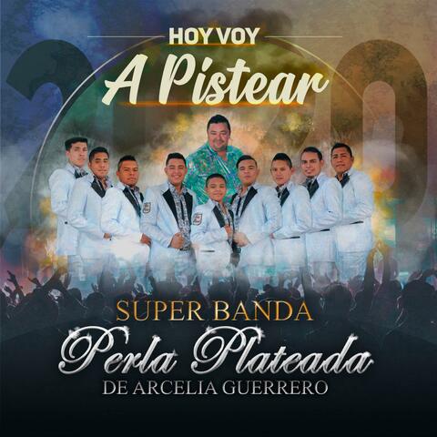 Hoy voy a pistear