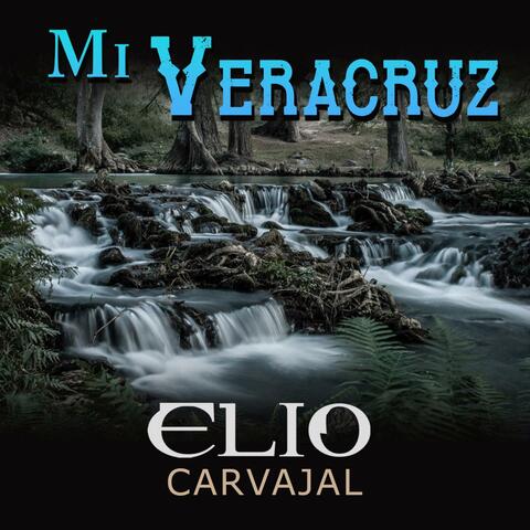 MI VERACRUZ