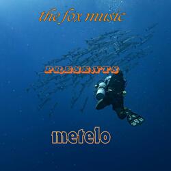 Metelo