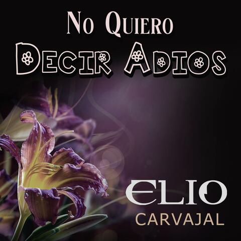 NO QUIERO DECIR ADIOS