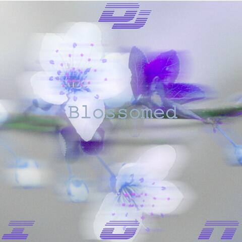 Blossomed
