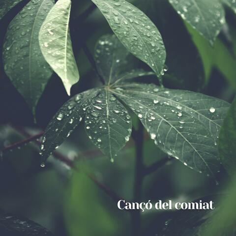 CANÇÓ DEL COMIAT (feat. Amanda Traveria)