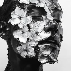 Stripped World