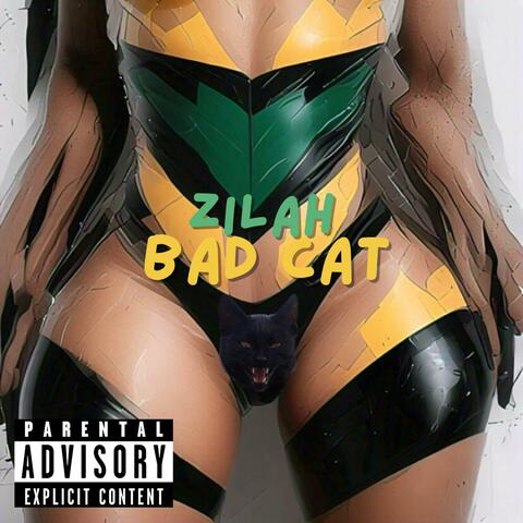 Bad Cat