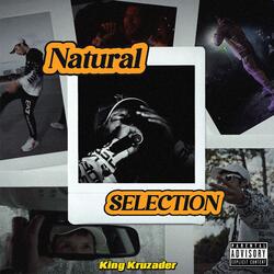 Natural Selection