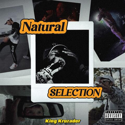 Natural Selection