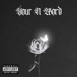 your n word