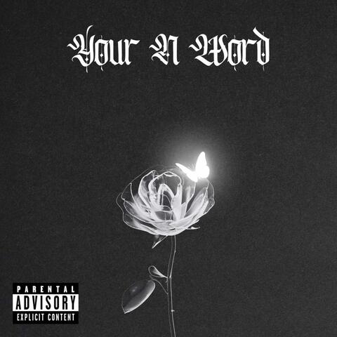 your n word