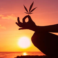 All Forms Herbal Pollan-ator (feat. Vyasa & Michael Pollan)