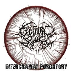 Cerebral Polution