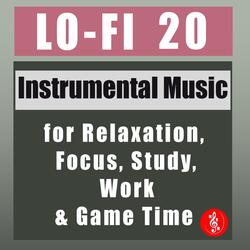 Lo-Fi 20 Guitar