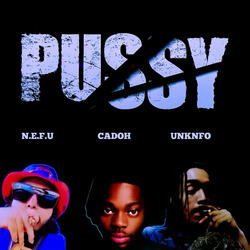 Pussy (feat. UNKNFO & N.E.F.U)