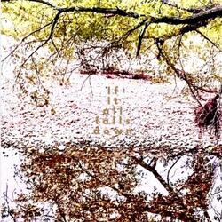 If It All Falls Down