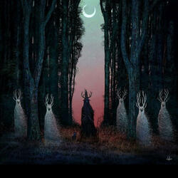 Eclipsed Shadows