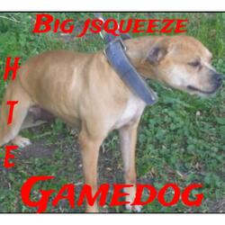 Gamedog