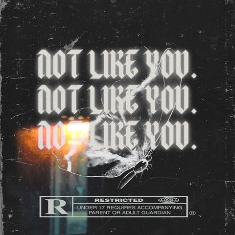 Not Like You