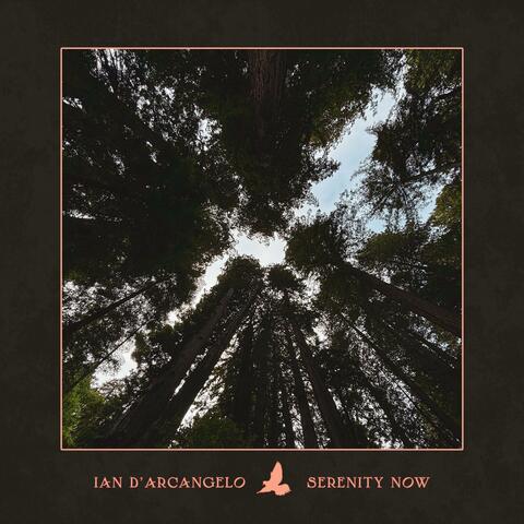 Serenity Now