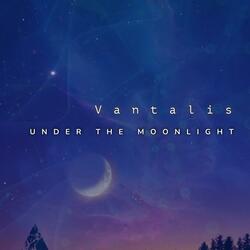 Under the Moonlight