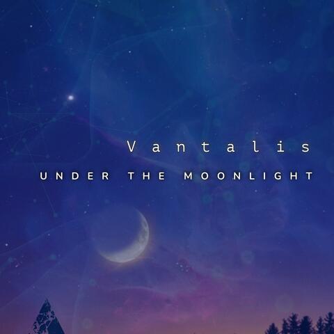 Under the Moonlight
