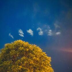 When the Sky Falls