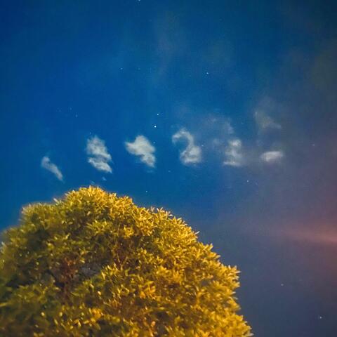 When the Sky Falls