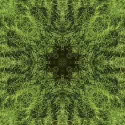 Idyllic (feat. Yusei6k)