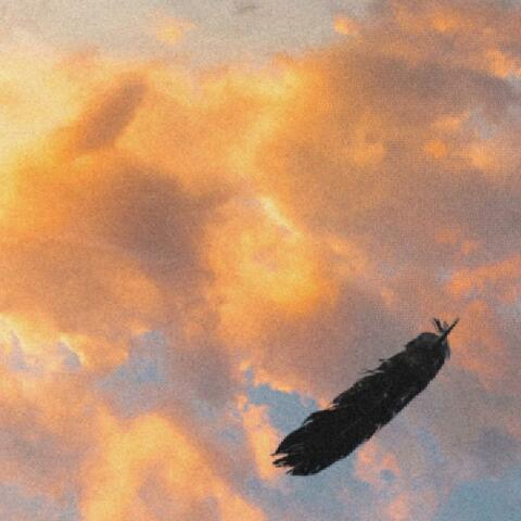 ICARUS