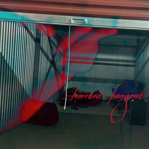 Limited Hangout