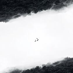 ...you need to learn to fall