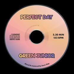 Perfect Day