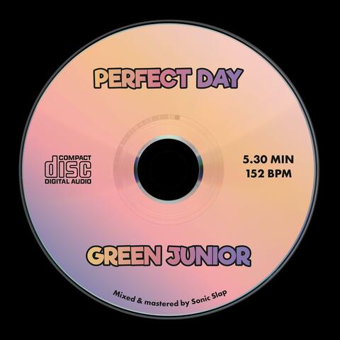 Perfect Day