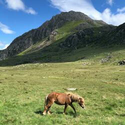 Elidir Fawr