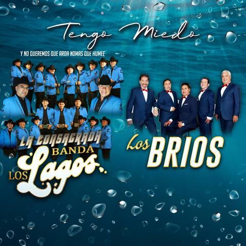 Banda los Lagos