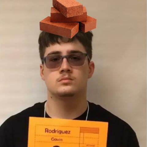 Sellin Bricks