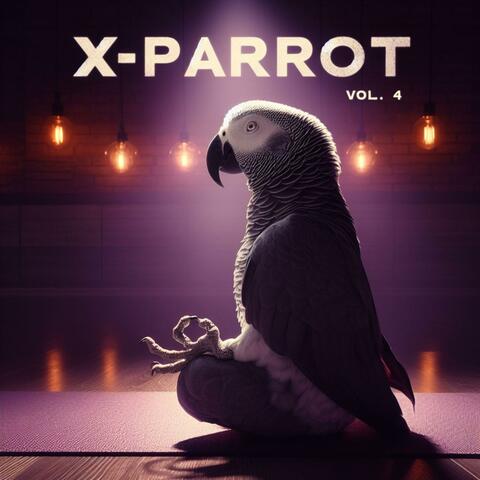 Volume 4