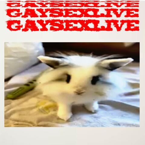 GAY SEX LIVE II