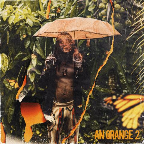 An Orange 2