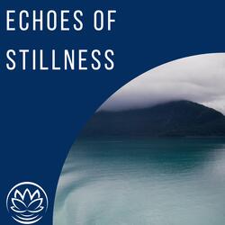 Echoes of Stillness