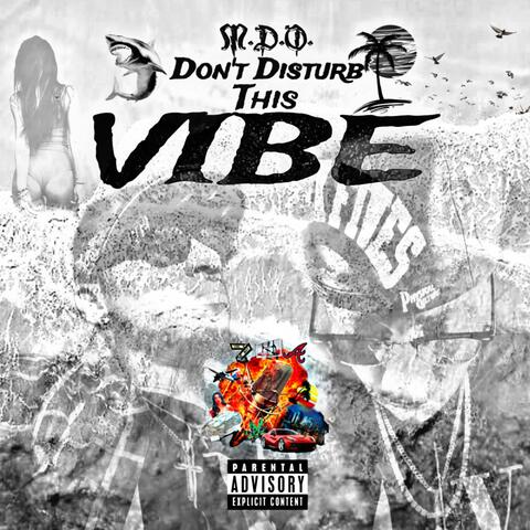 Don't Disturb This Vibe