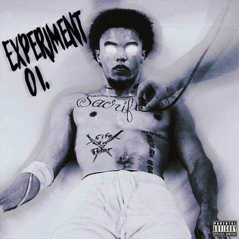 Experiment 01.