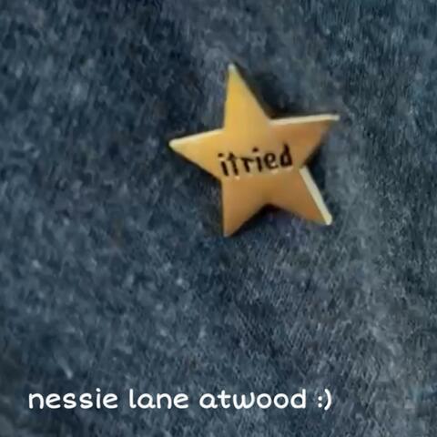 i tried