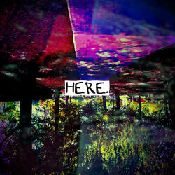 HERE_demo