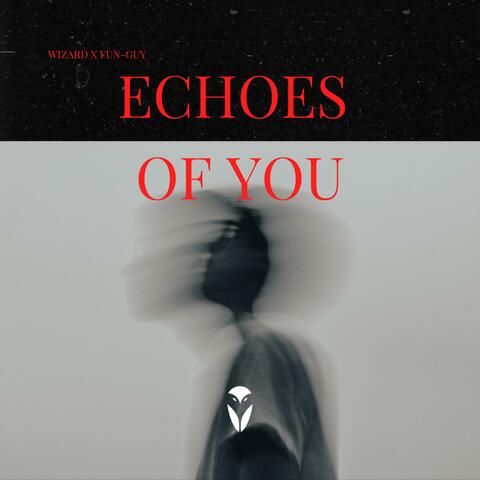 Echoes Of You (feat. Fun-Guy)