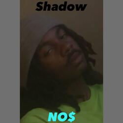 Shadow