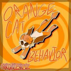 Orange Cat Behavior