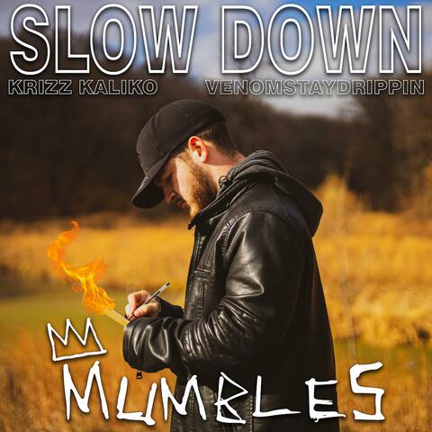 Slow Down (feat. Krizz Kaliko & VenomStayDrippin)
