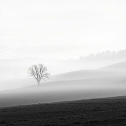 Warrior's Dream
