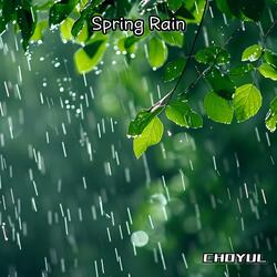 Spring Rain