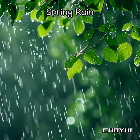 Spring Rain