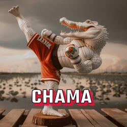 CHAMA